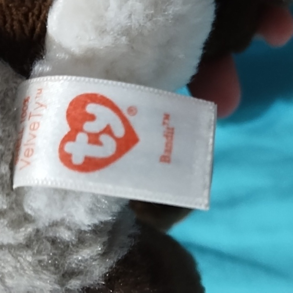 Bandit - Ty - Beanie baby - Used - 2015 - Picture 2 of 2
